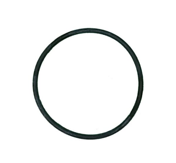 CTX Series Pump Lid O'Ring