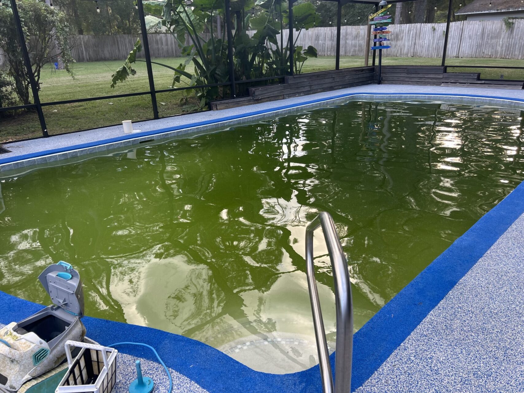 Green Pool Before Recovery Service In Ocala Showing Algae Build-Up And Cloudy Water