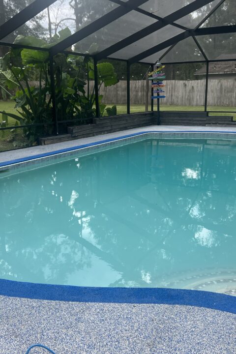 Clean Pool After Green Pool Recovery Service In Ocala By Vital Pool Solutions